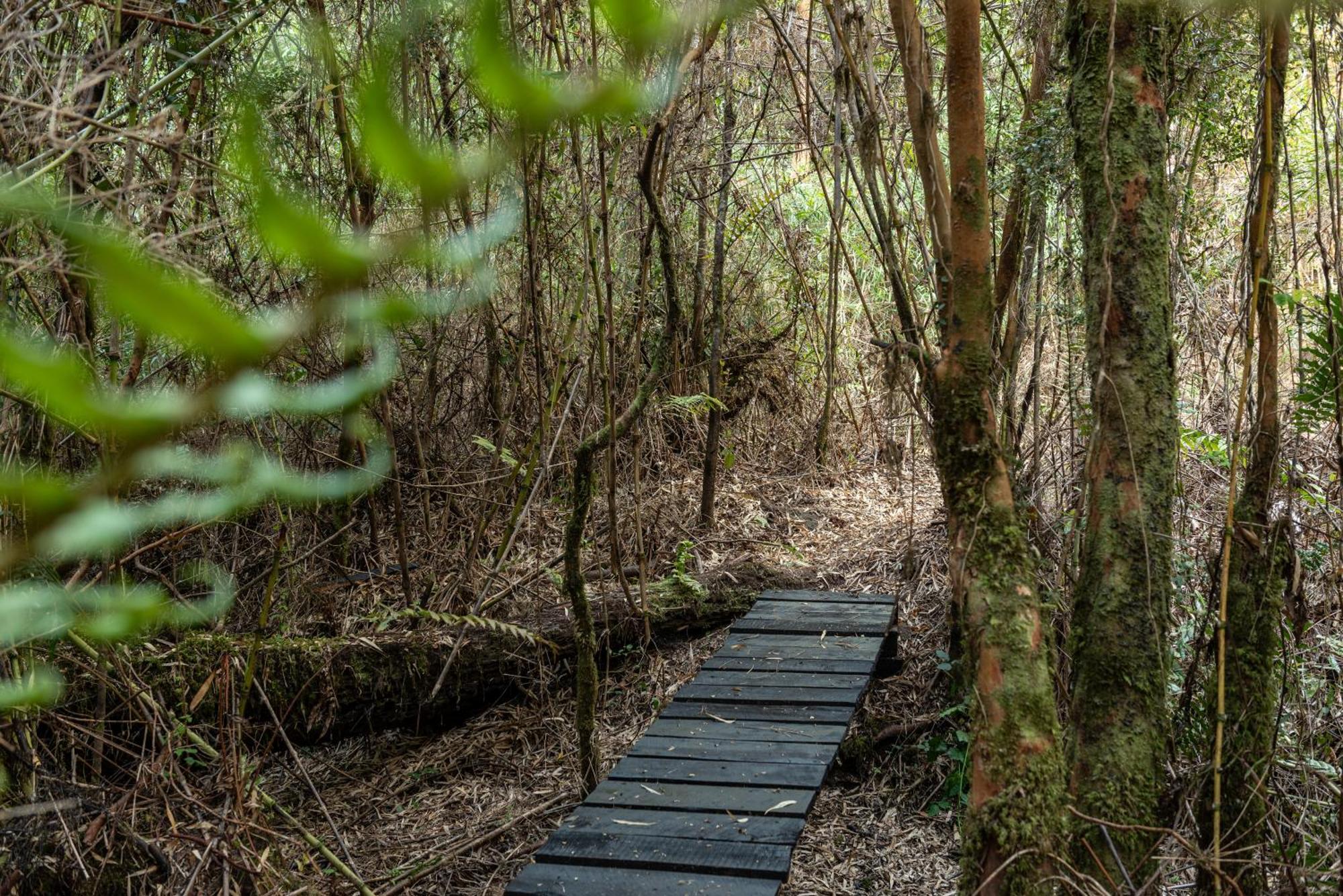 Carintia Cabins Puerto Varas Ngoại thất bức ảnh